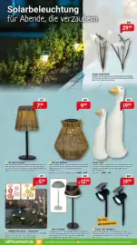 Raiffeisen Markt Prospekt Seite 7