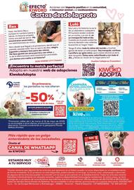 Folleto Kiwoko Página 16