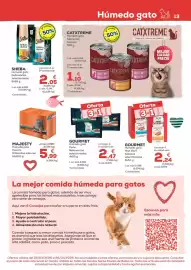 Folleto Kiwoko Página 13