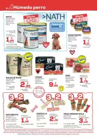 Folleto Kiwoko Página 4