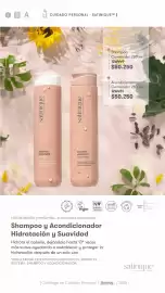 Catálogo Amway Página 15