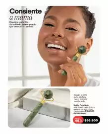 Catálogo Avon Página 167