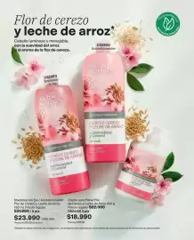 Catálogo Avon Página 191