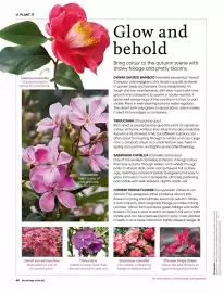 Bunnings catalogue Page 40