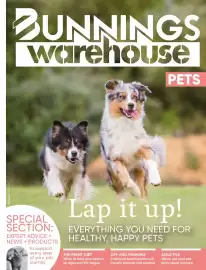 Bunnings catalogue Page 53