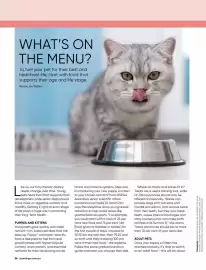 Bunnings catalogue Page 56