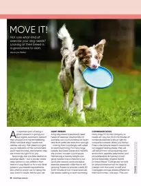 Bunnings catalogue Page 58