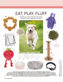 Bunnings catalogue Page 60