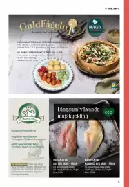 Menigo reklamblad Sida 17