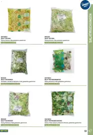 Metro Flugblatt Seite 13