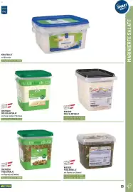 Metro Flugblatt Seite 15