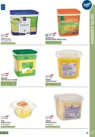 Metro Flugblatt Seite 17