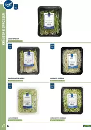 Metro Flugblatt Seite 24