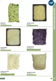 Metro Flugblatt Seite 29