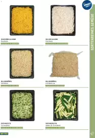 Metro Flugblatt Seite 33