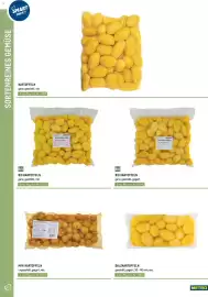 Metro Flugblatt Seite 44