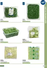 Metro Flugblatt Seite 5