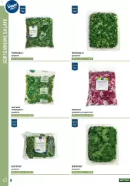 Metro Flugblatt Seite 6