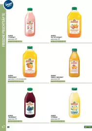 Metro Flugblatt Seite 68