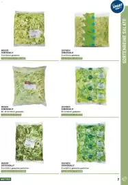 Metro Flugblatt Seite 7