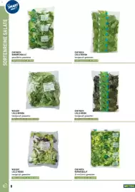 Metro Flugblatt Seite 8