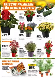 OBI Flugblatt Seite 2