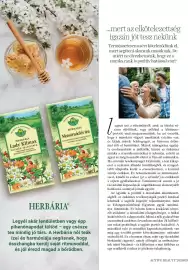 DM akciós újság Oldal 22