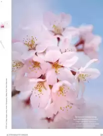 DM akciós újság Oldal 31