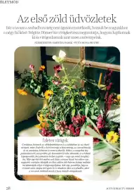 DM akciós újság Oldal 58