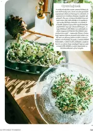 DM akciós újság Oldal 59