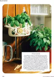 DM akciós újság Oldal 60