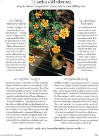 DM akciós újság Oldal 61