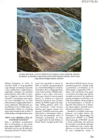 DM akciós újság Oldal 89