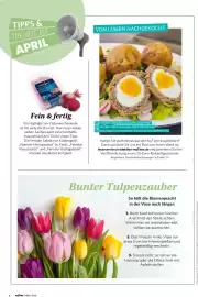 Famila Nord West Magazin Seite 6