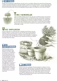 Famila Nord West Magazin Seite 60