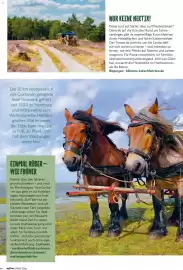 Famila Nord West Magazin Seite 66