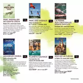 Catalogue Carrefour | specatacles page 11