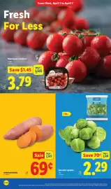 Lidl weekly ad Page 12