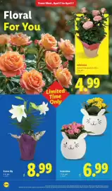 Lidl weekly ad Page 24