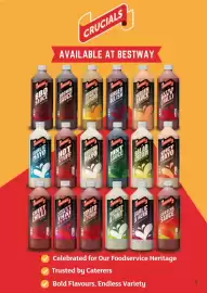 Bestway leaflet Page 5