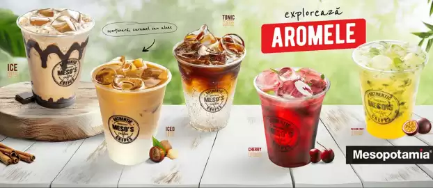 Catalog Mesopotamia Pagină 4