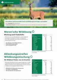 Lagerhaus Flugblatt Seite 12