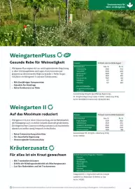 Lagerhaus Flugblatt Seite 13