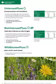 Lagerhaus Flugblatt Seite 14