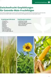 Lagerhaus Flugblatt Seite 16