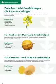 Lagerhaus Flugblatt Seite 17