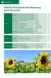 Lagerhaus Flugblatt Seite 4