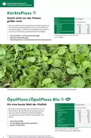 Lagerhaus Flugblatt Seite 6