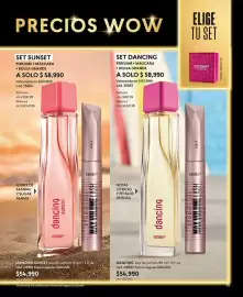 Catálogo Cyzone Página 15