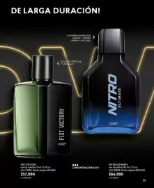 Catálogo Cyzone Página 29